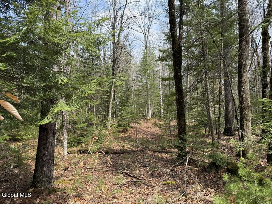 L34.4 Potash Hill Road Schroon Lake NY 12870