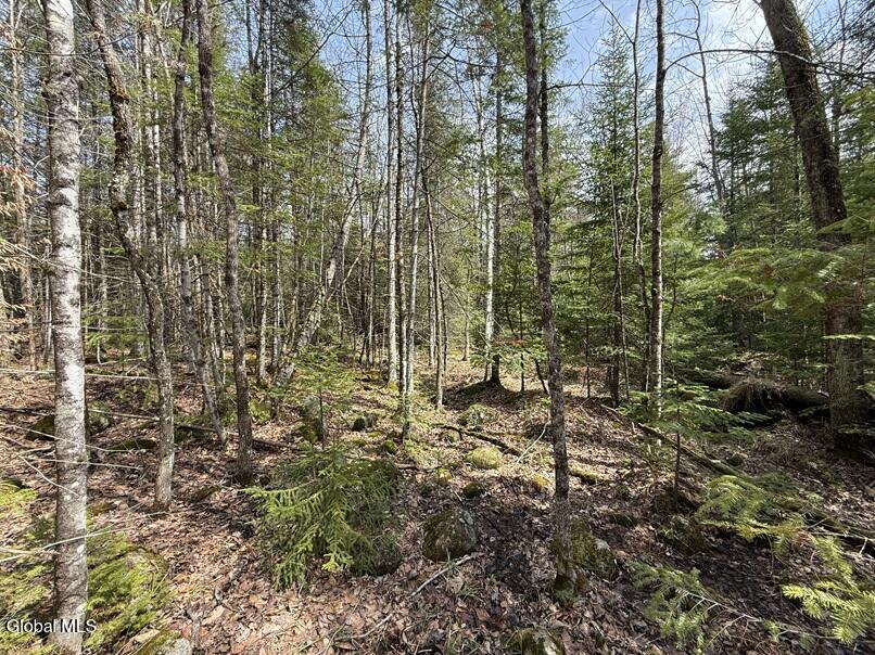 L34.4 Potash Hill Road Schroon Lake NY 12870