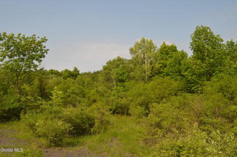 25 Barent Winne Road Selkirk NY 12158
