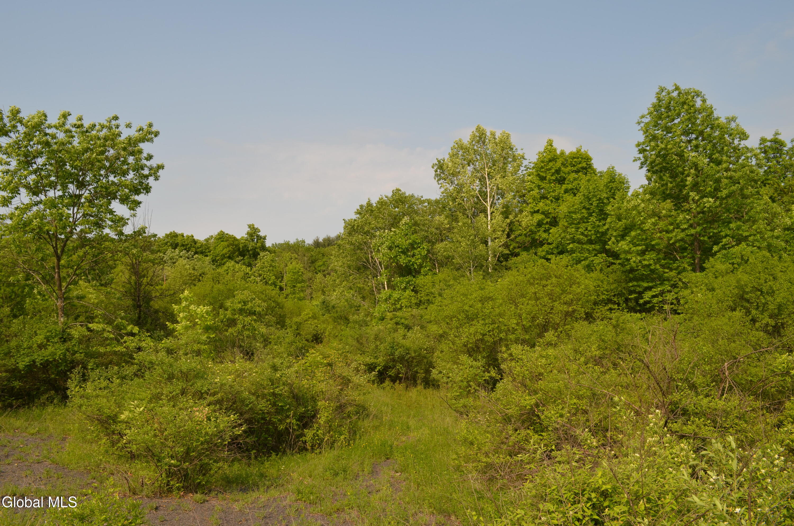 25 Barent Winne Road Selkirk NY 12158