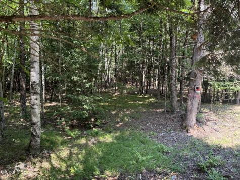 57 Hidden Valley Road Lake Luzerne NY 12846