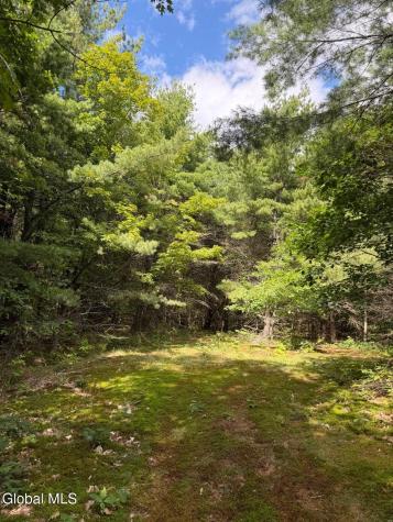 218 Irish Hill Road East Berne NY 12059
