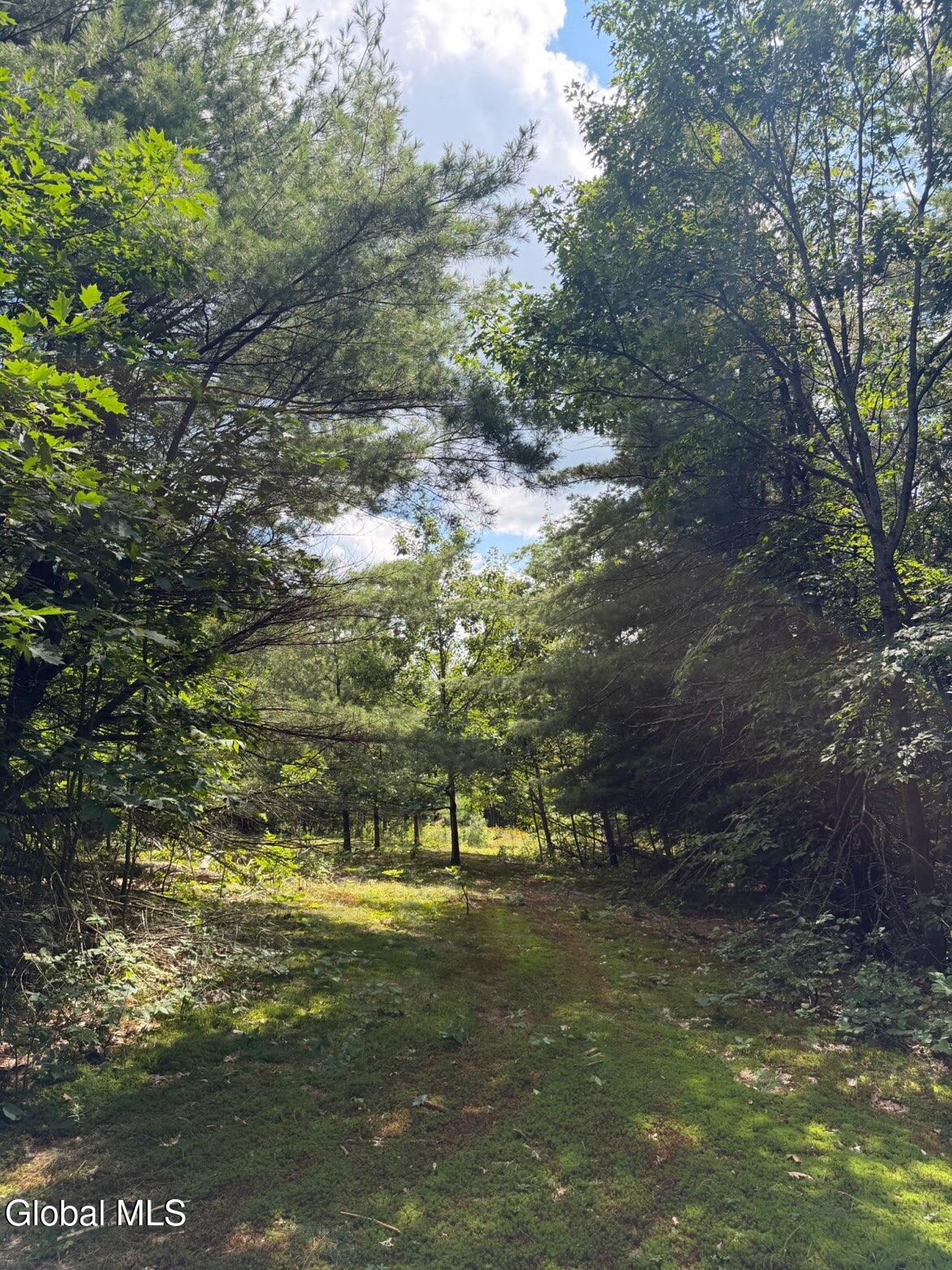 218 Irish Hill Road East Berne NY 12059