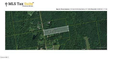 218 Irish Hill Road East Berne NY 12059