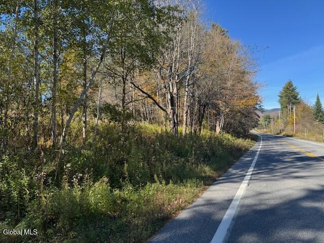 L12 Street Route 8 Johnsburg NY 12843