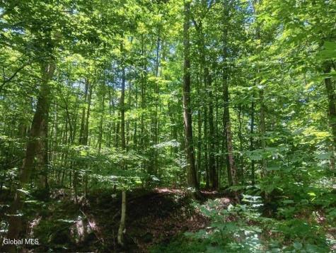 357 Norton Road Schenevus NY 12155