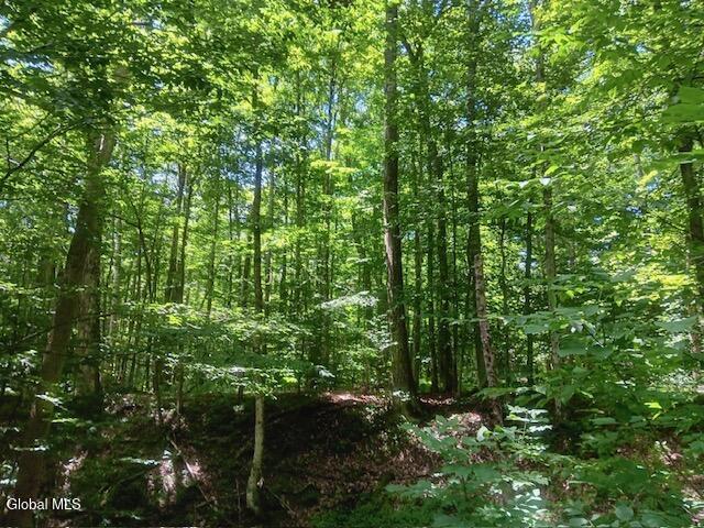 357 Norton Road Schenevus NY 12155