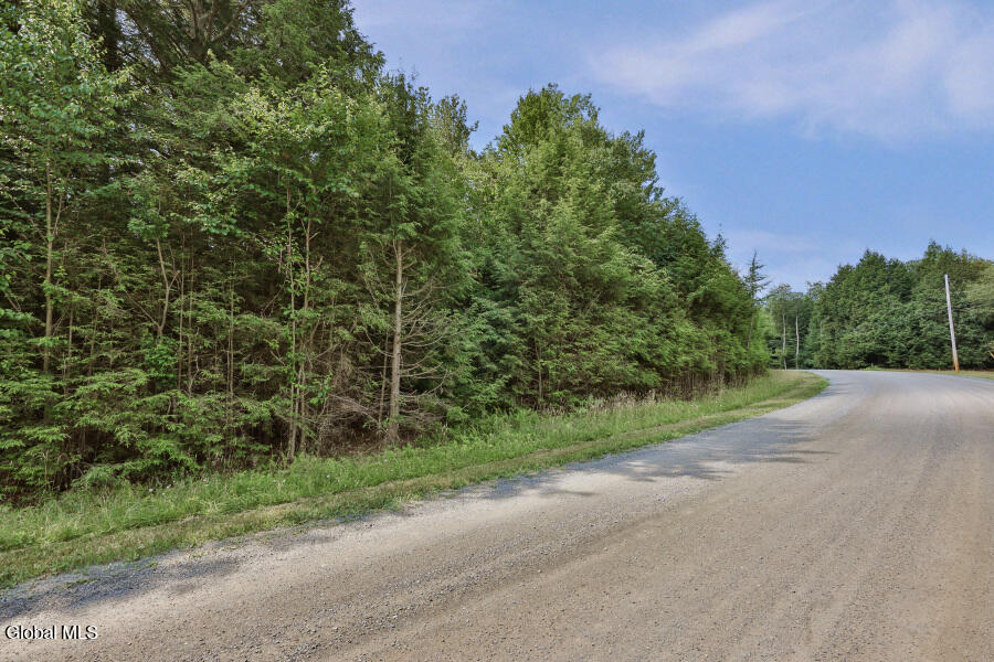 87 Pond View Road Petersburgh NY 12138