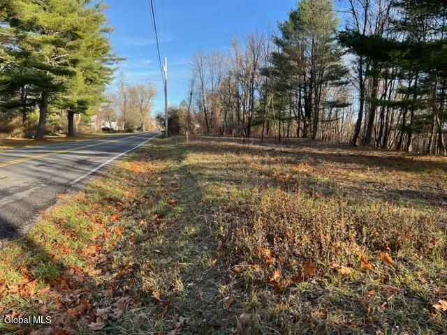 L10 County Route 51 Coxsackie NY 12124