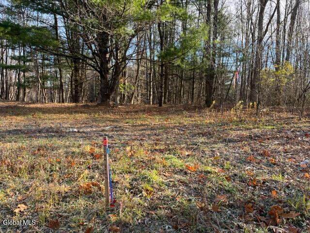 L10 County Route 51 Coxsackie NY 12124