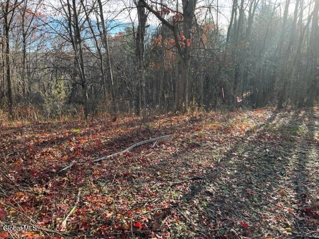 L10 County Route 51 Coxsackie NY 12124