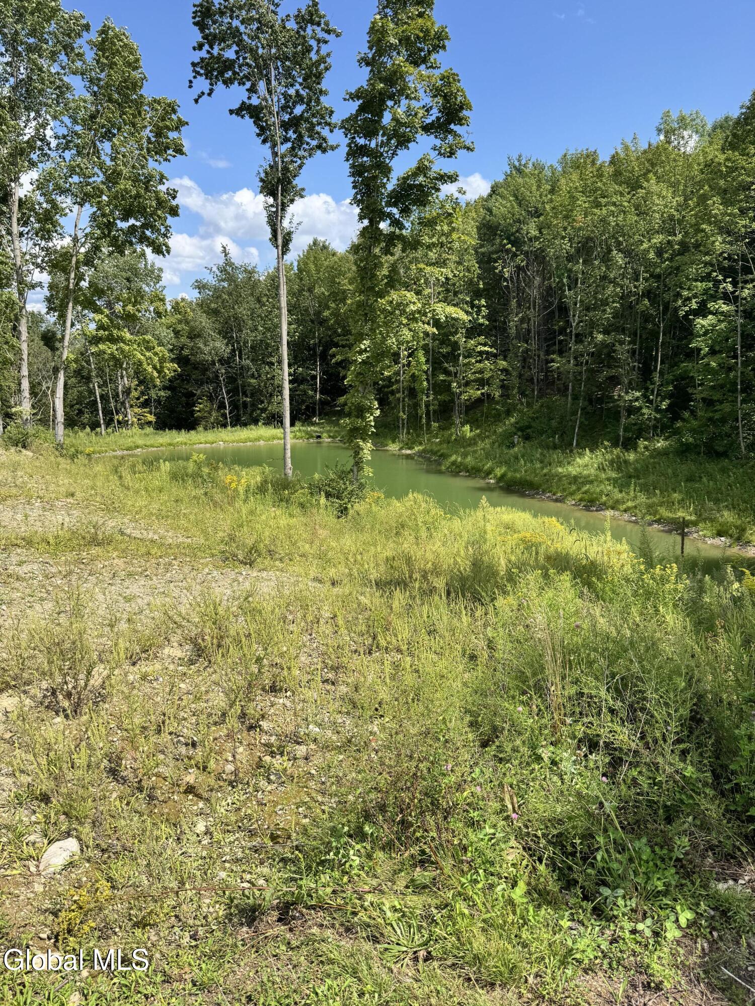 14 W Campbell Lane Salem NY 12865