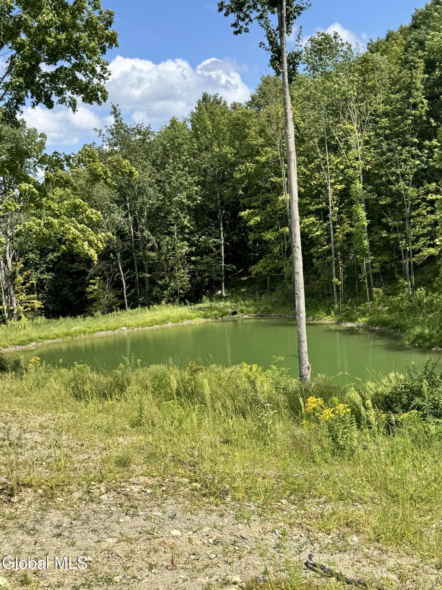 14 W Campbell Lane Salem NY 12865