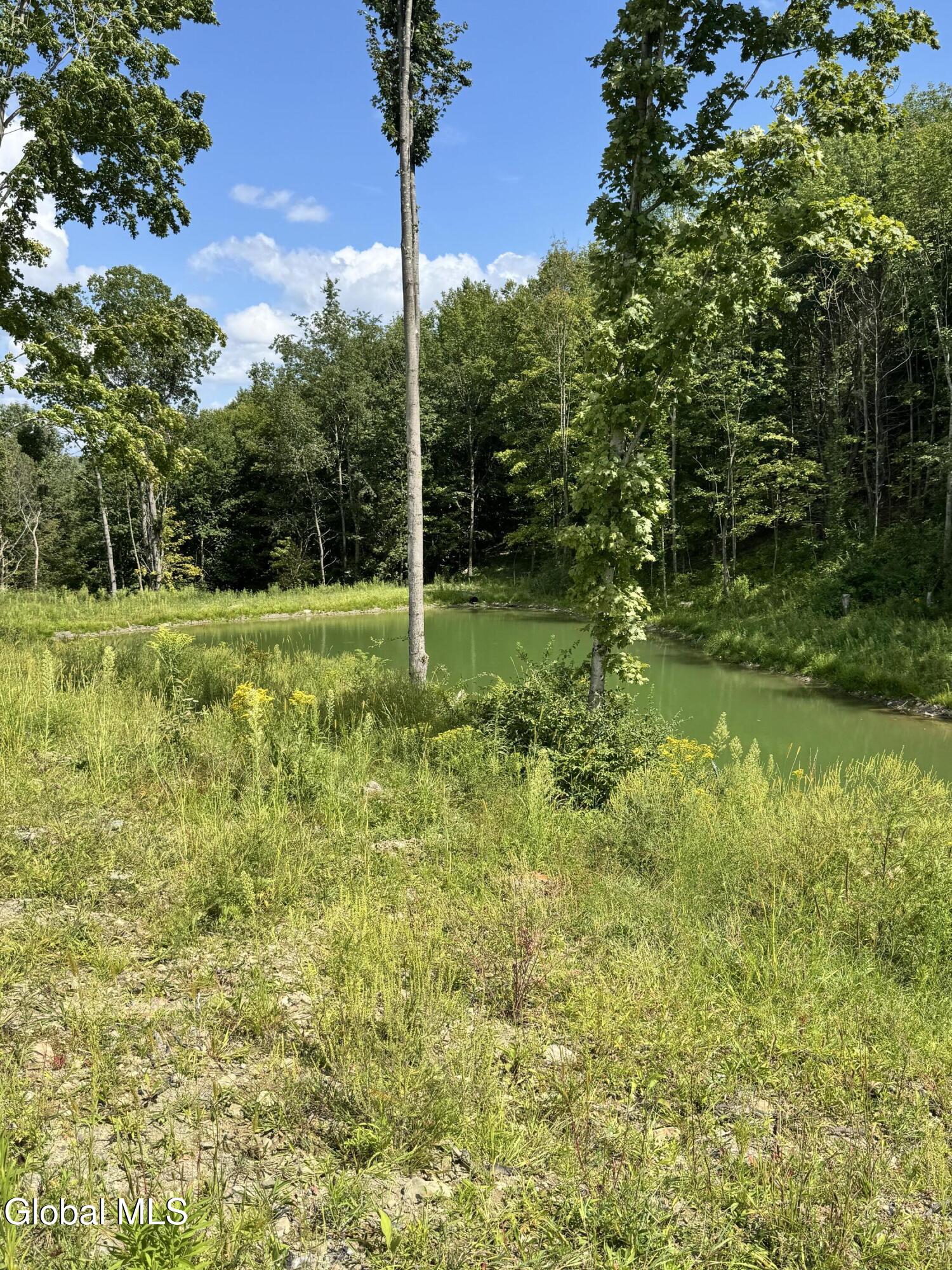 14 W Campbell Lane Salem NY 12865