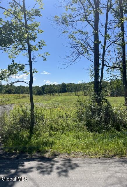 190 Curry Hill Road Carlisle NY 12160