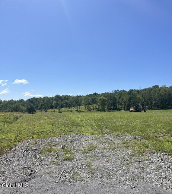 190 Curry Hill Road Carlisle NY 12160