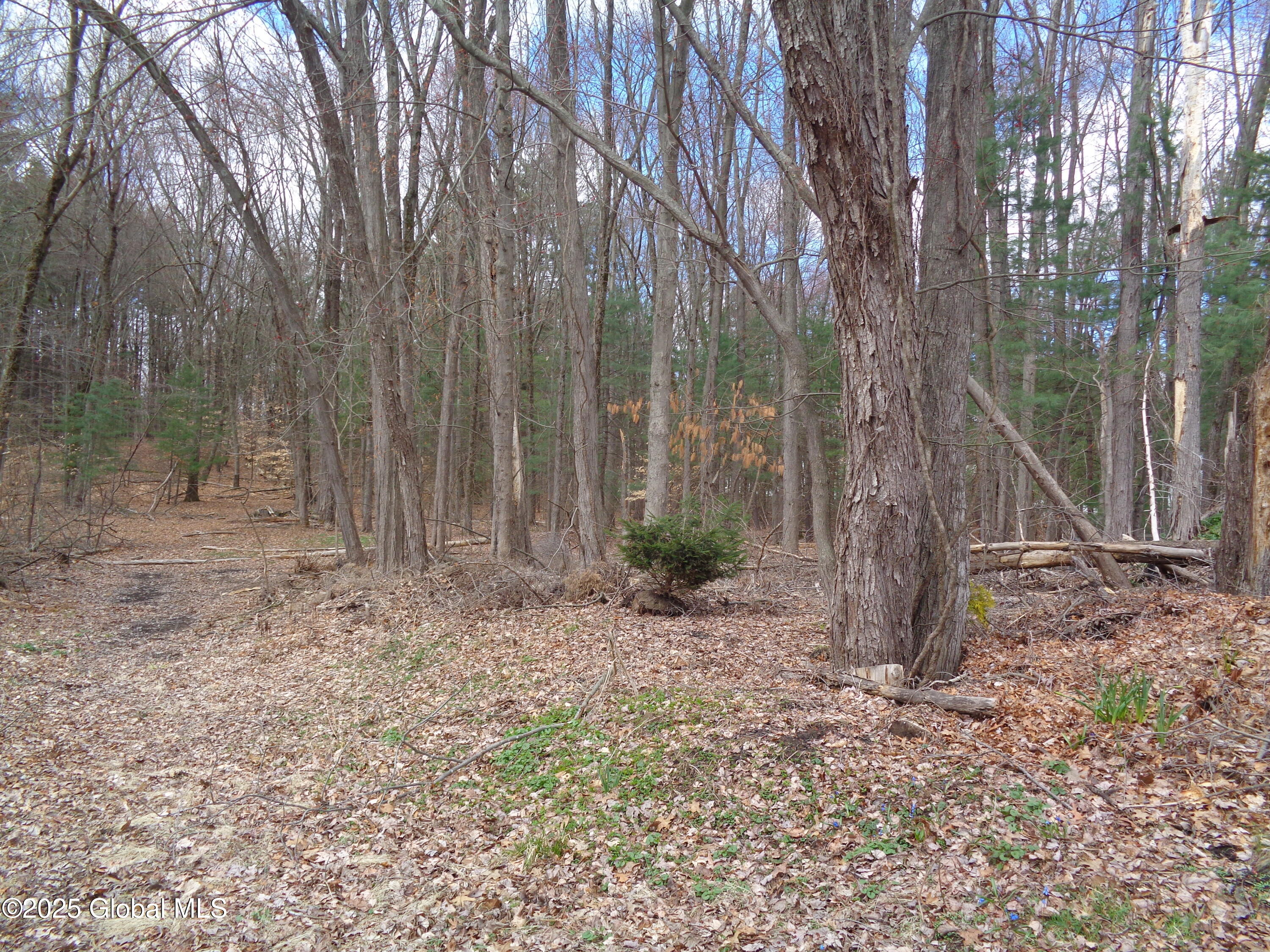 L17.12 Helderberg Avenue Schenectady NY 12306