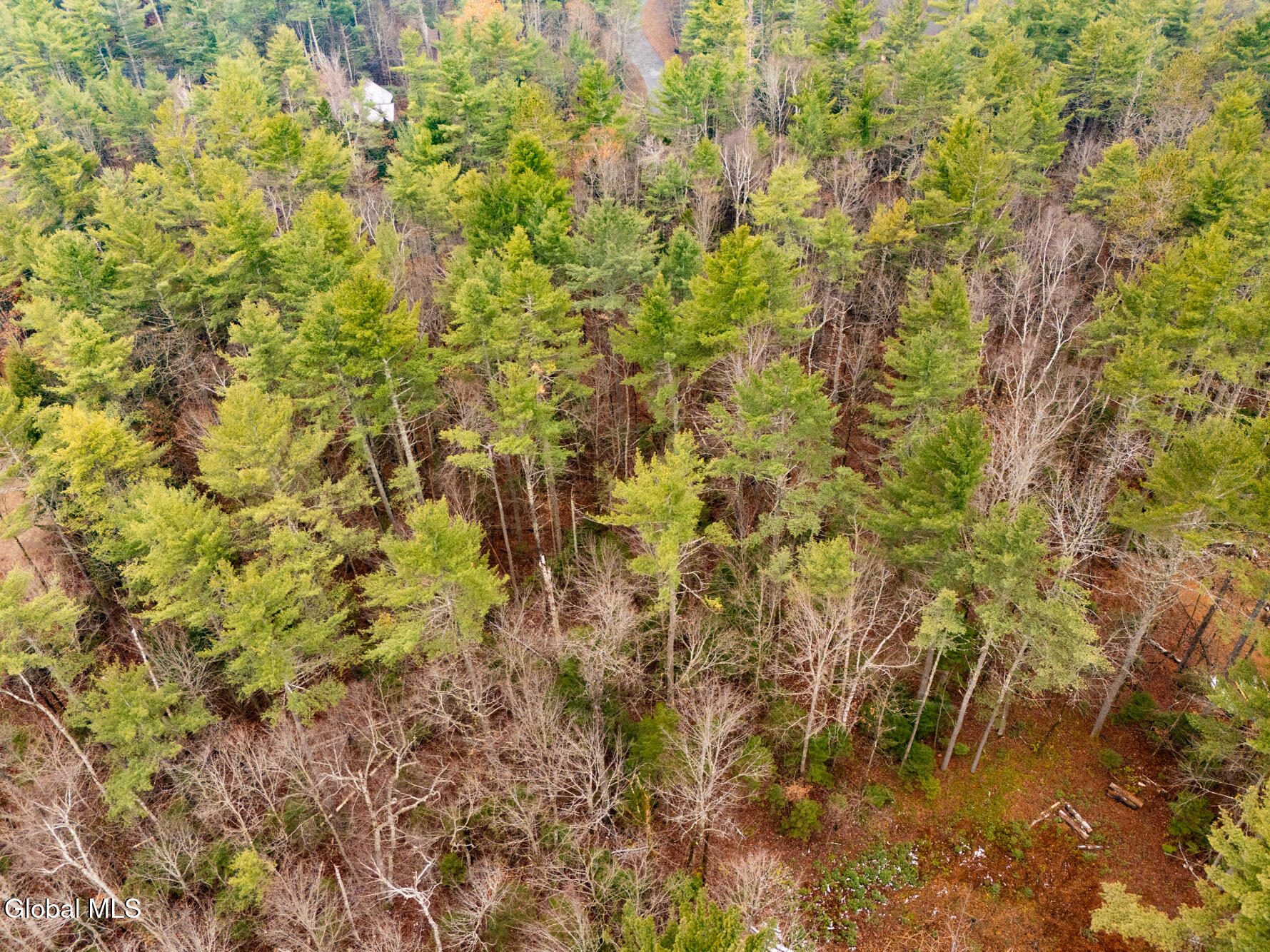 206 Mountain Path Johnsburg NY 12853