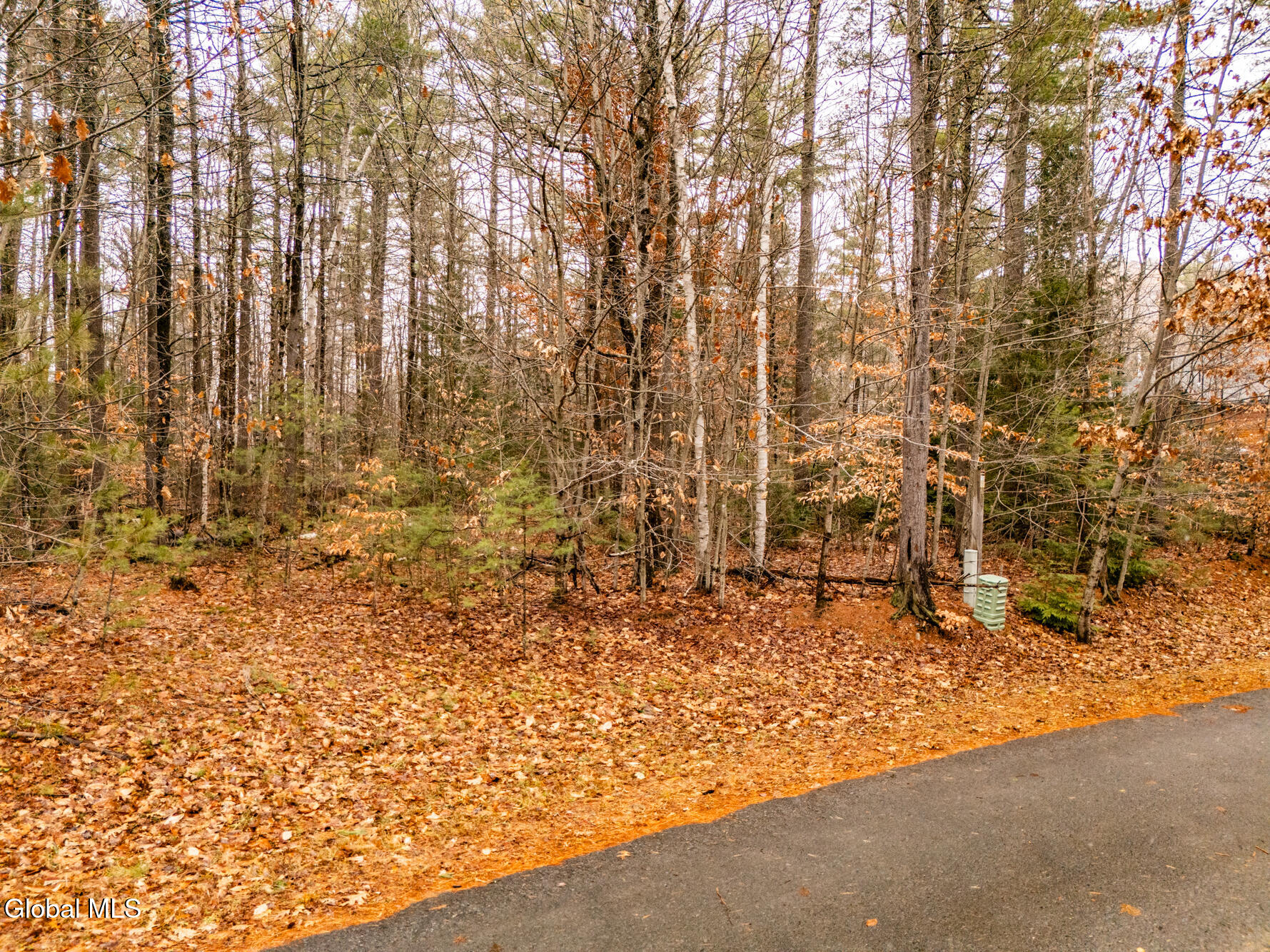 206 Mountain Path Johnsburg NY 12853