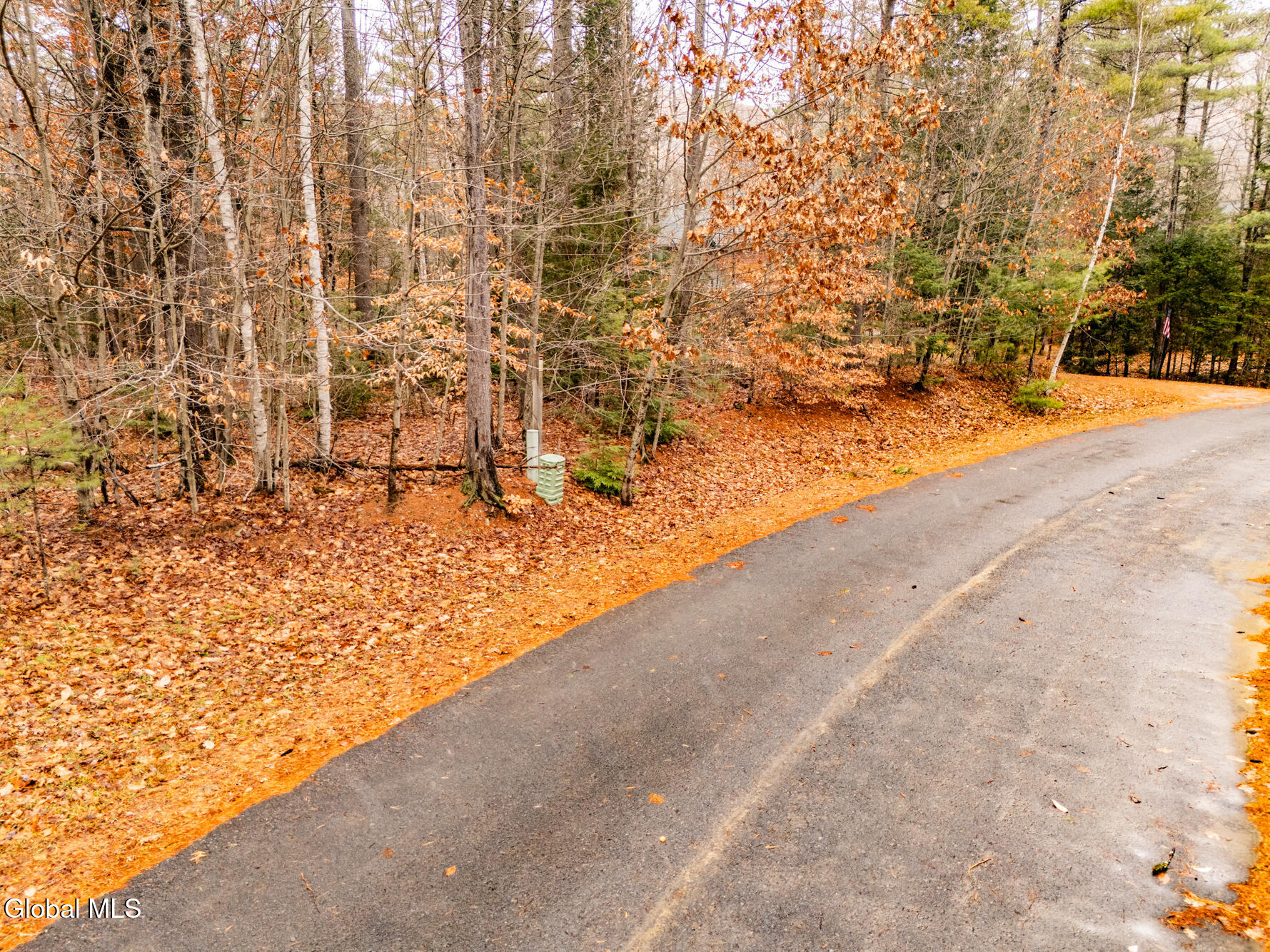 206 Mountain Path Johnsburg NY 12853