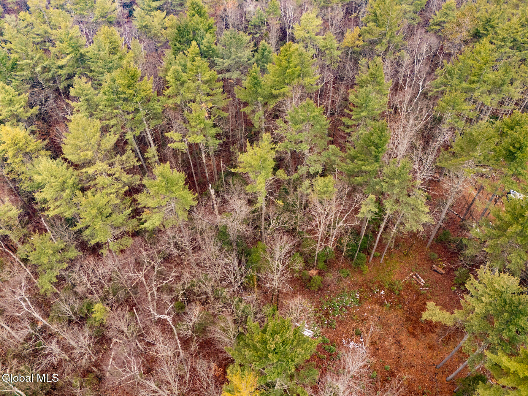 206 Mountain Path Johnsburg NY 12853