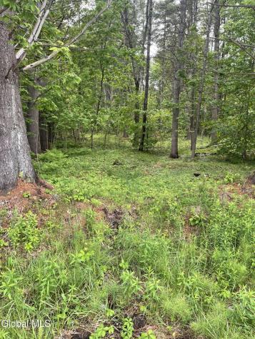 2447 Ny-28 Johnsburg NY 12886