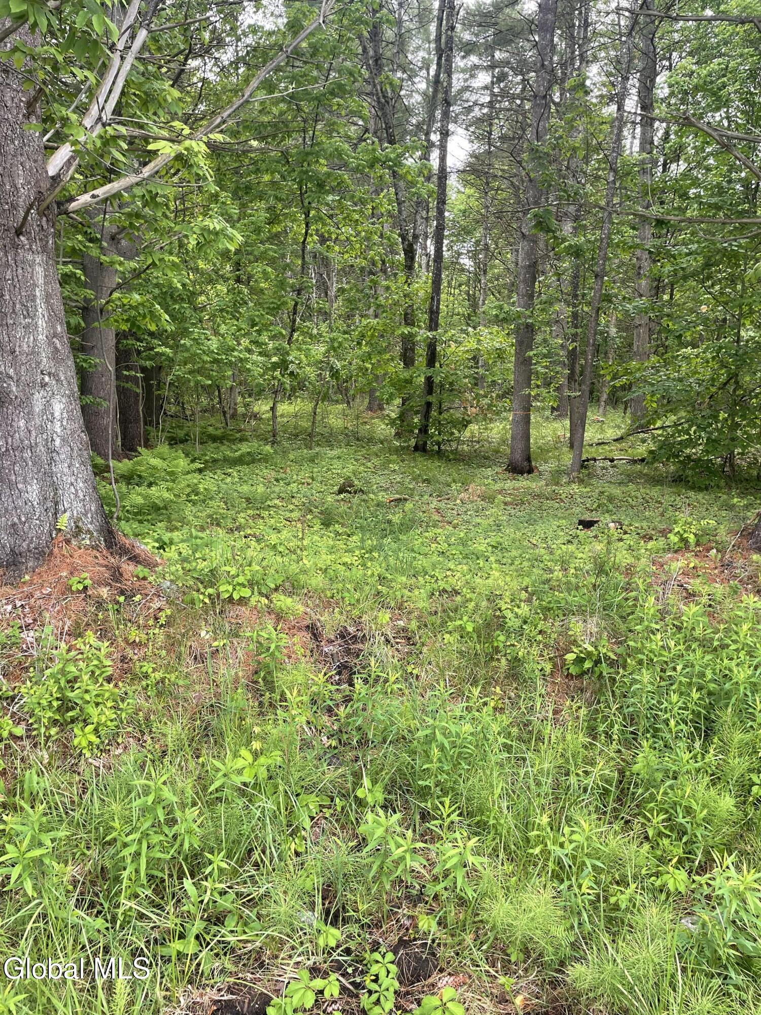 2447 Ny-28 Johnsburg NY 12886