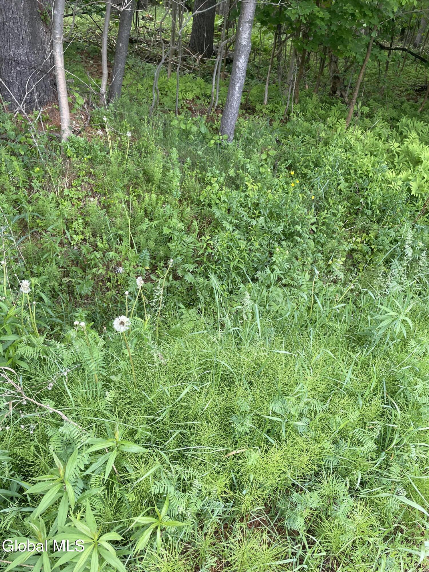 2447 Ny-28 Johnsburg NY 12886