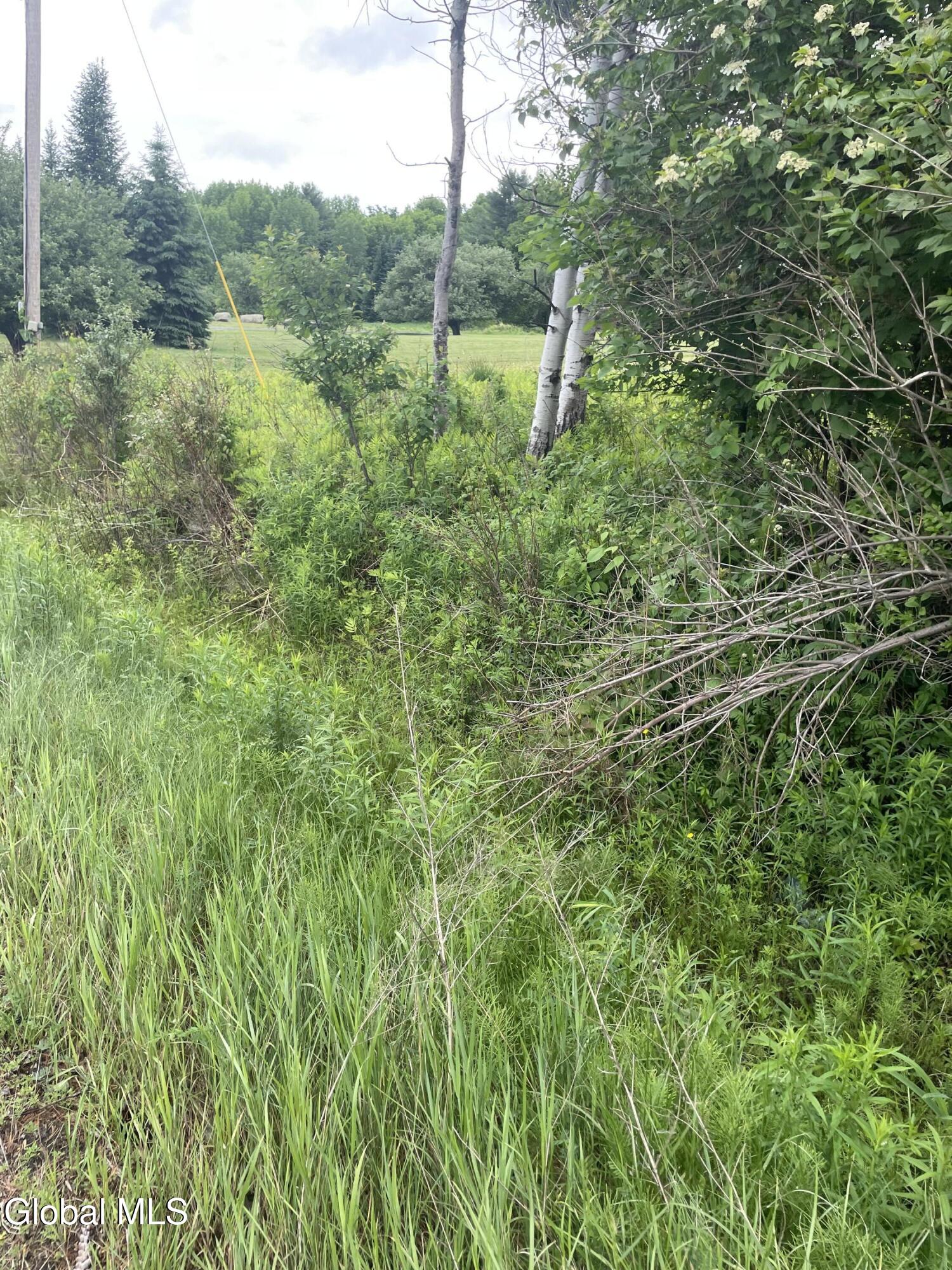 2447 Ny-28 Johnsburg NY 12886