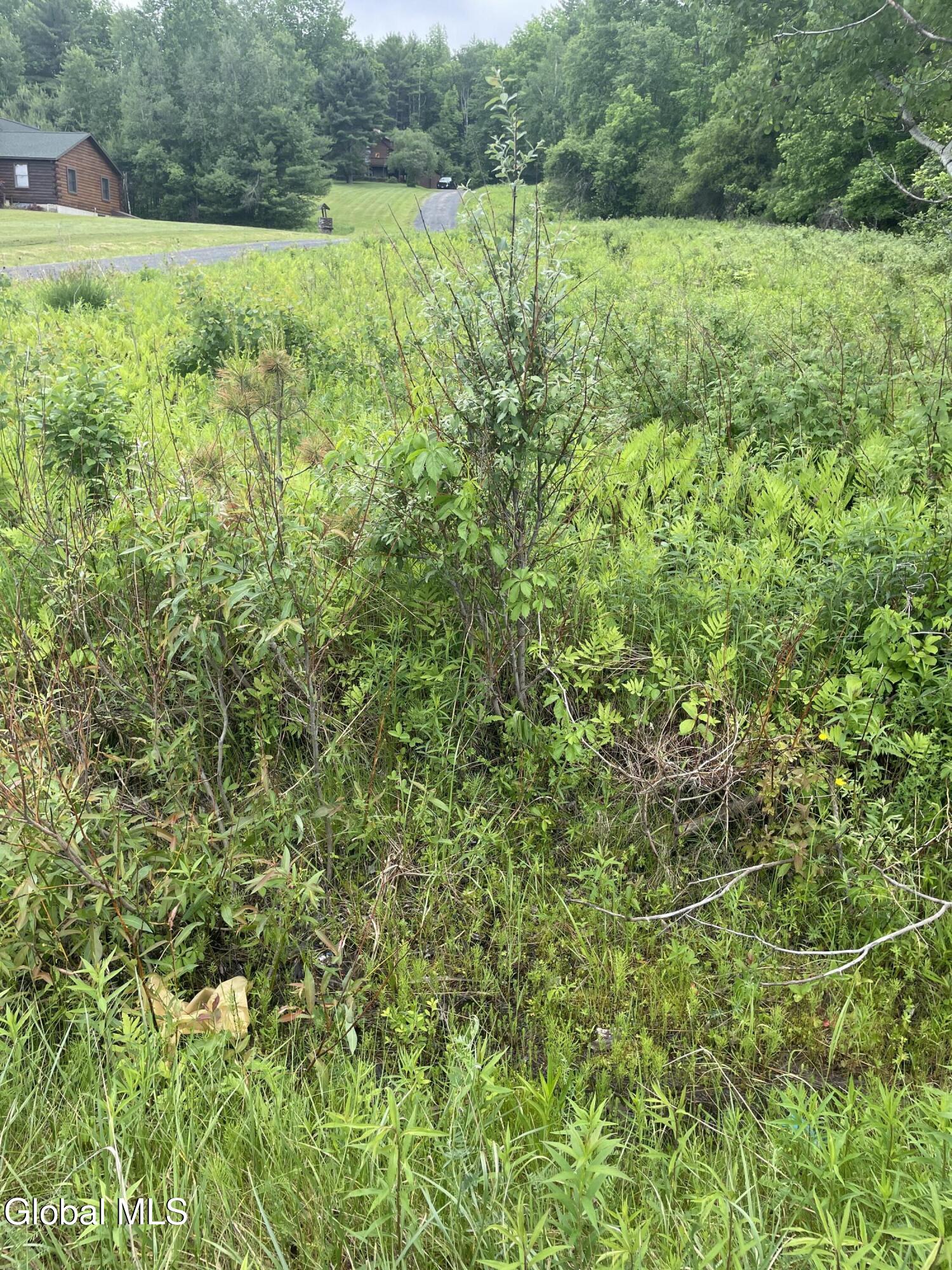 2447 Ny-28 Johnsburg NY 12886