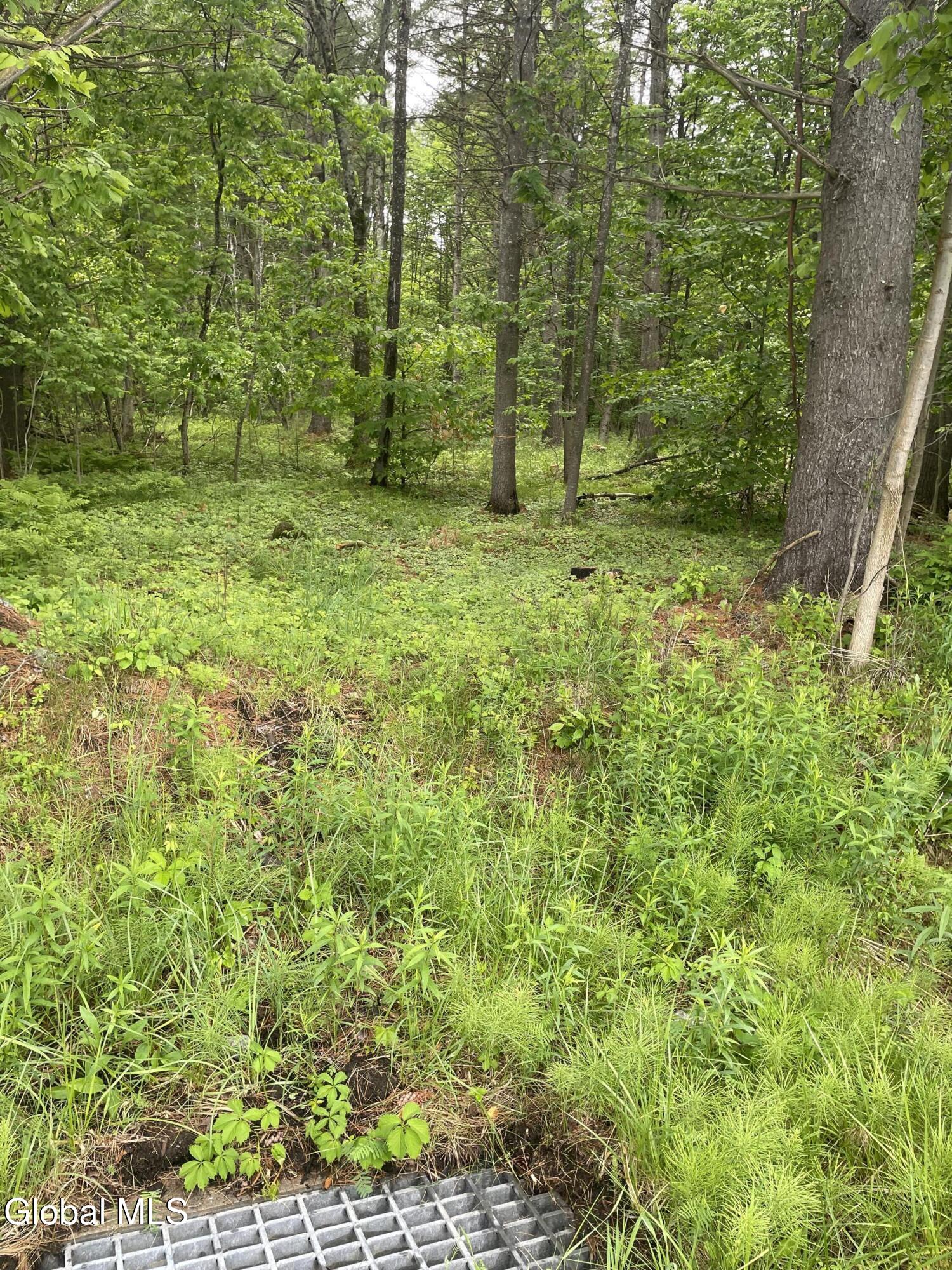 2447 Ny-28 Johnsburg NY 12886