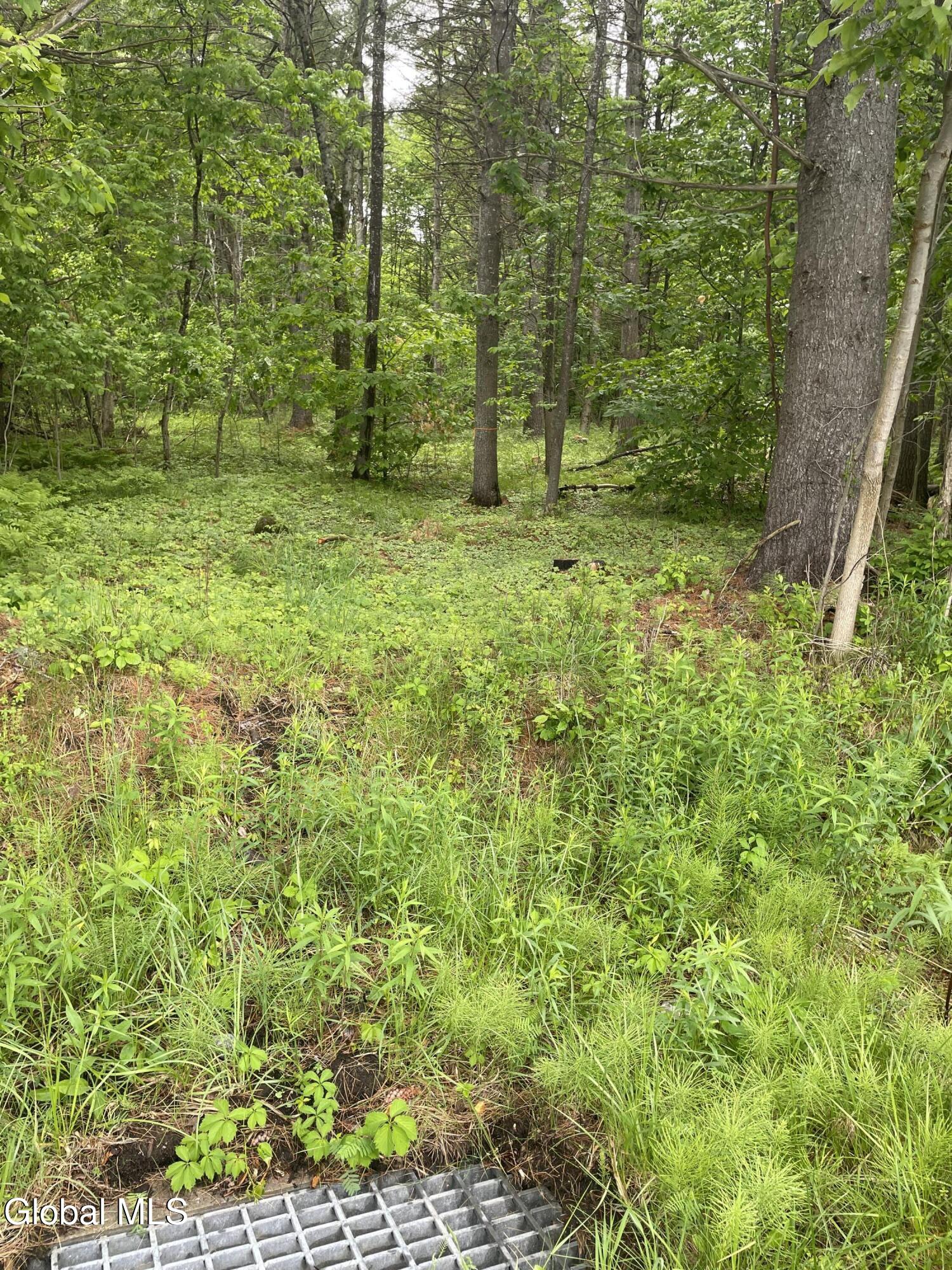 2447 Ny-28 Johnsburg NY 12886