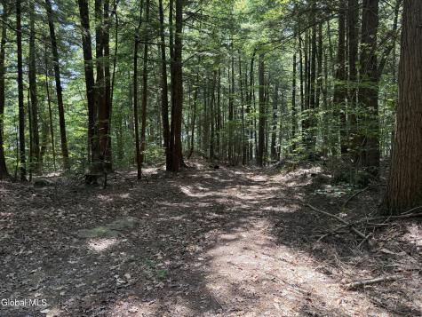 740 Coolidge Hill Road Bolton NY 12814