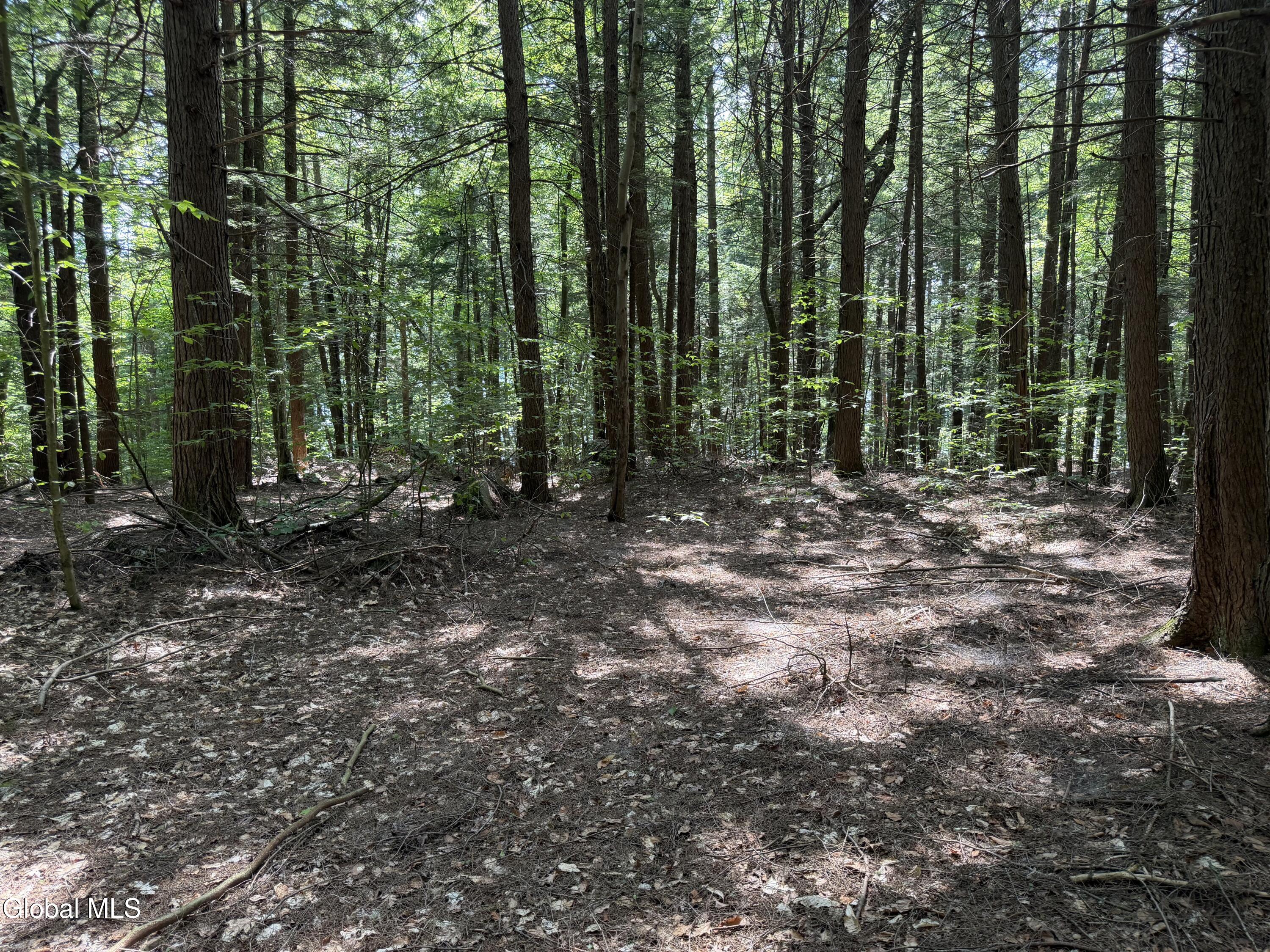 740 Coolidge Hill Road Bolton NY 12814