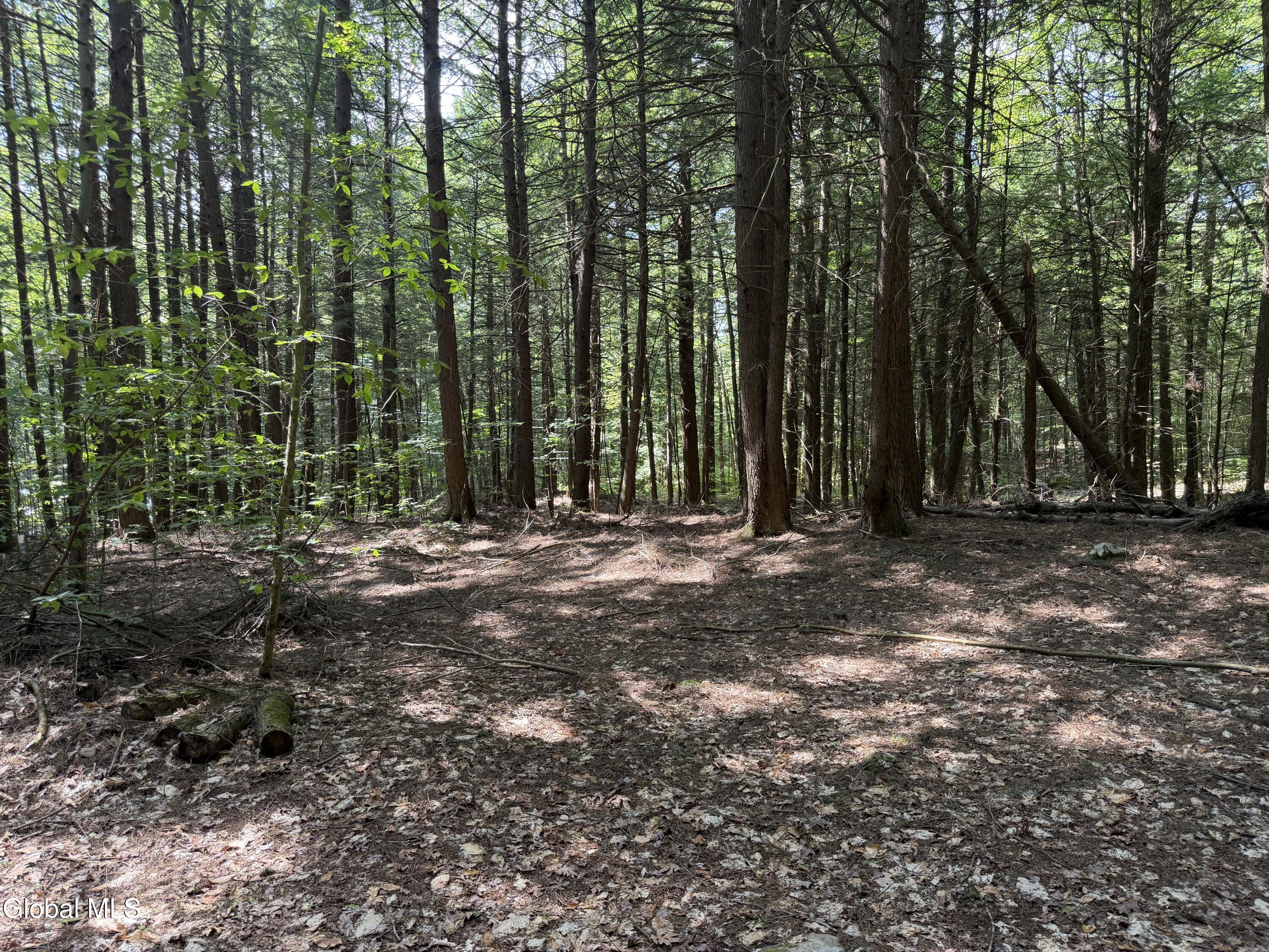 740 Coolidge Hill Road Bolton NY 12814