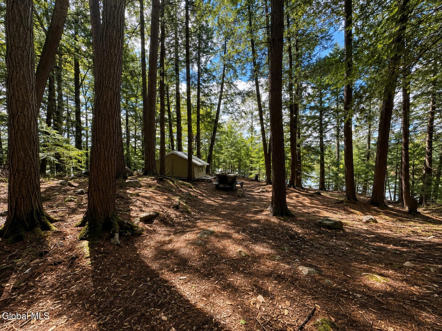 740 Coolidge Hill Road Bolton NY 12814