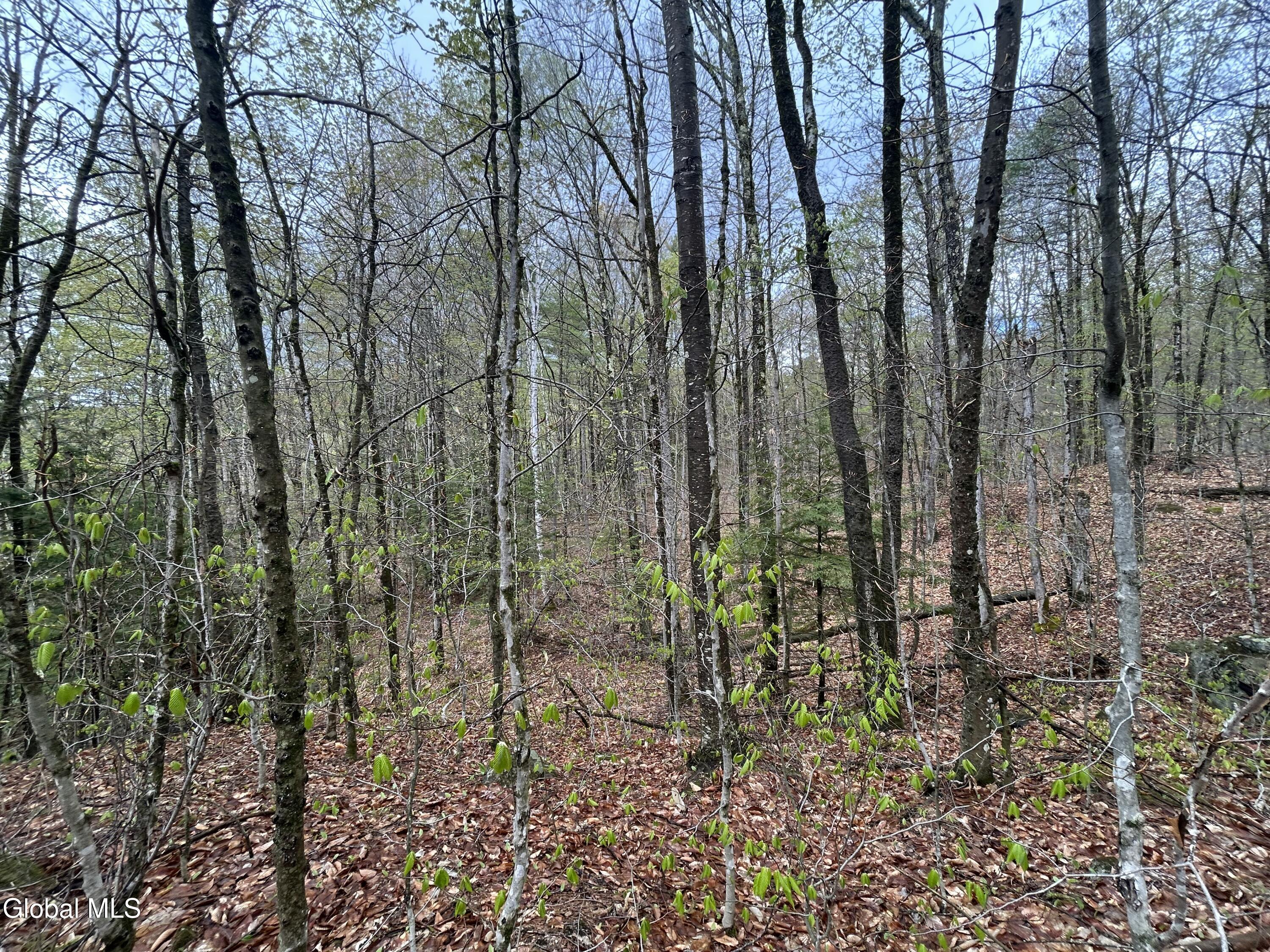 L46 Alder Brook Road Brant Lake NY 12815