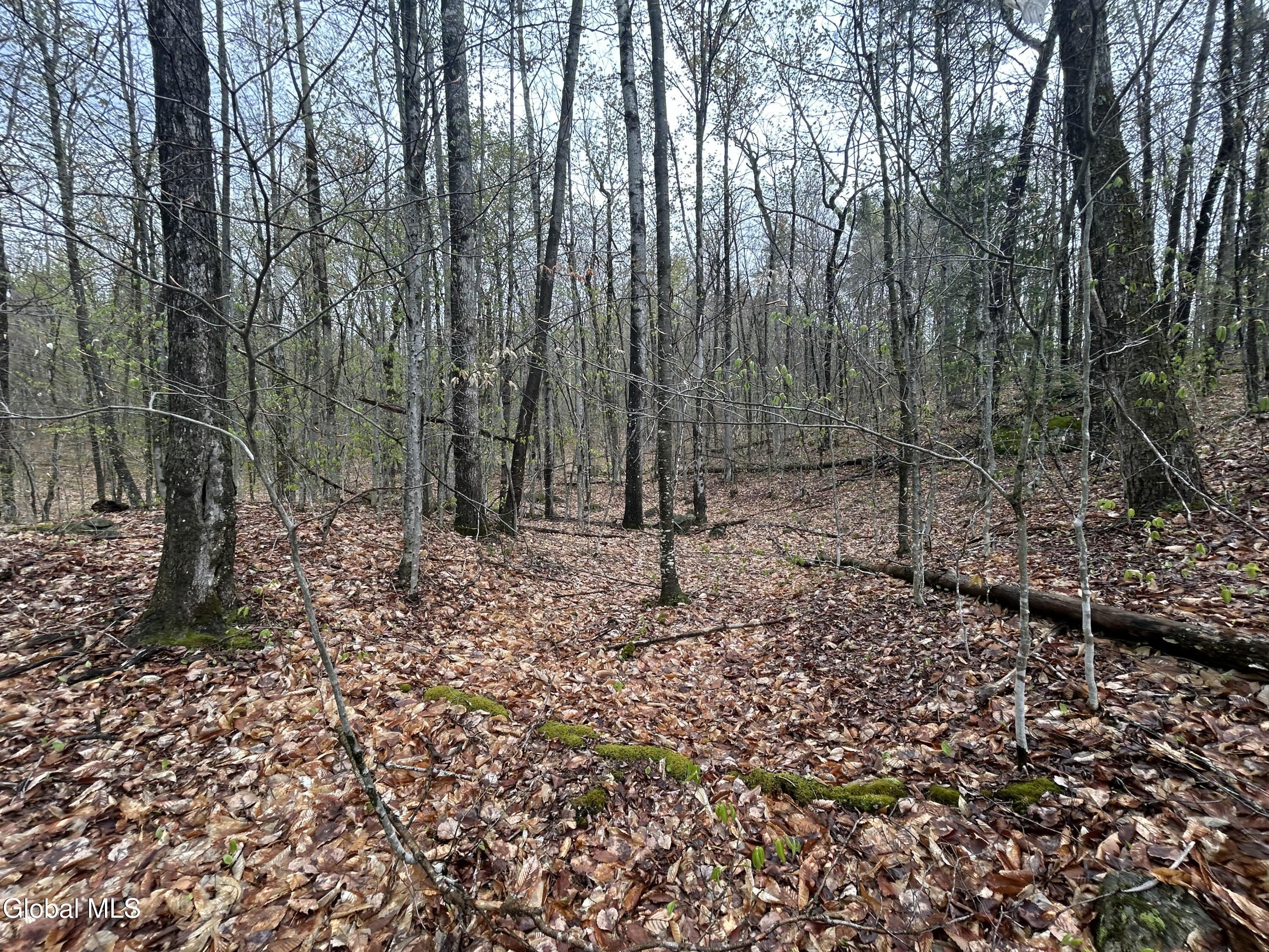 L46 Alder Brook Road Brant Lake NY 12815