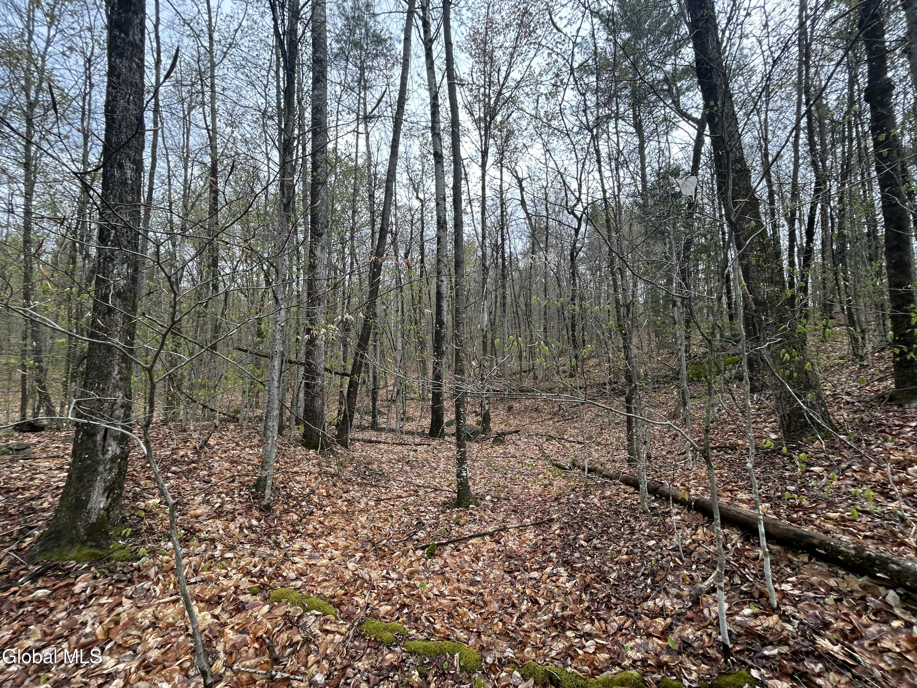 L46 Alder Brook Road Brant Lake NY 12815