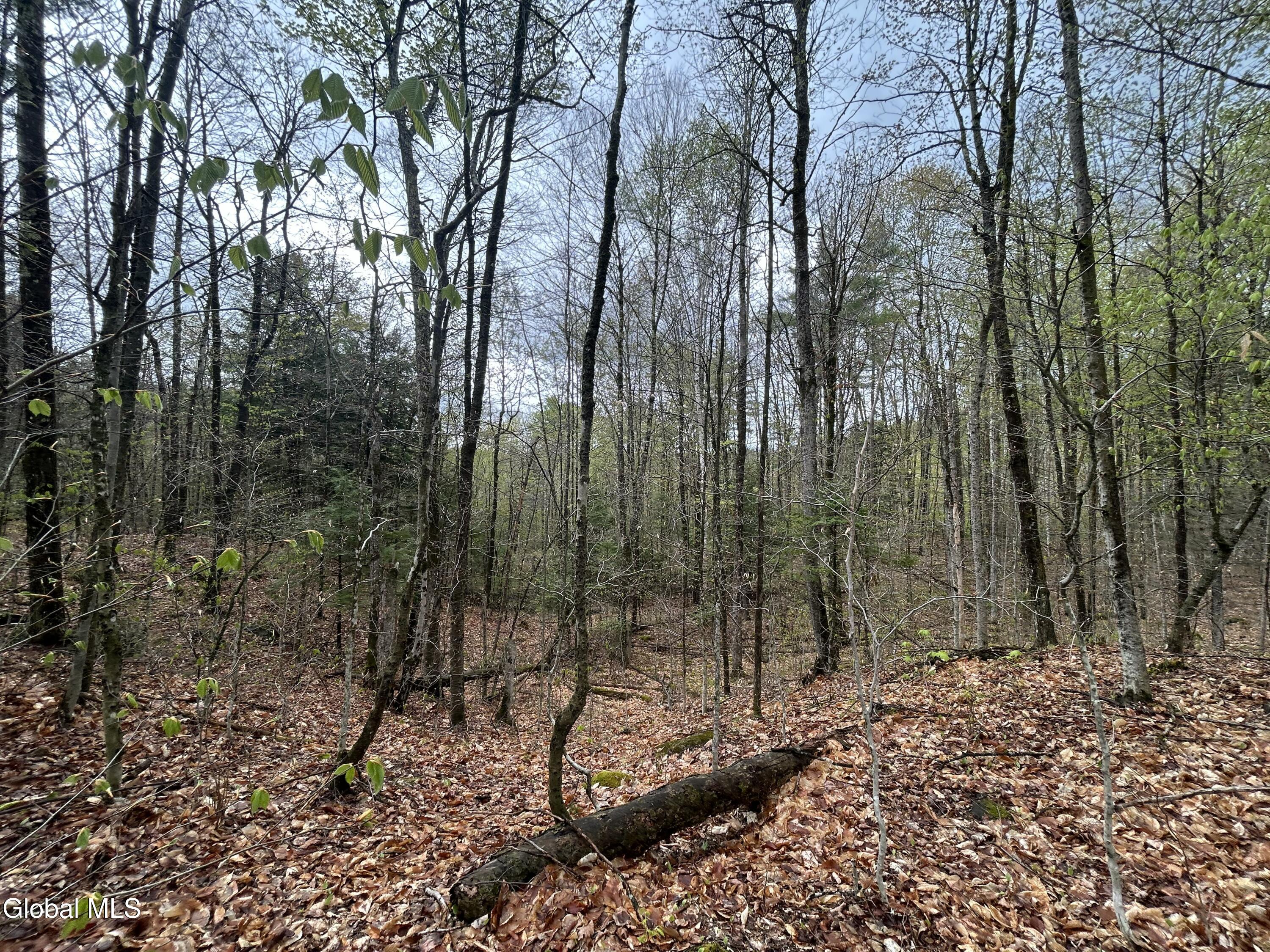 L46 Alder Brook Road Brant Lake NY 12815