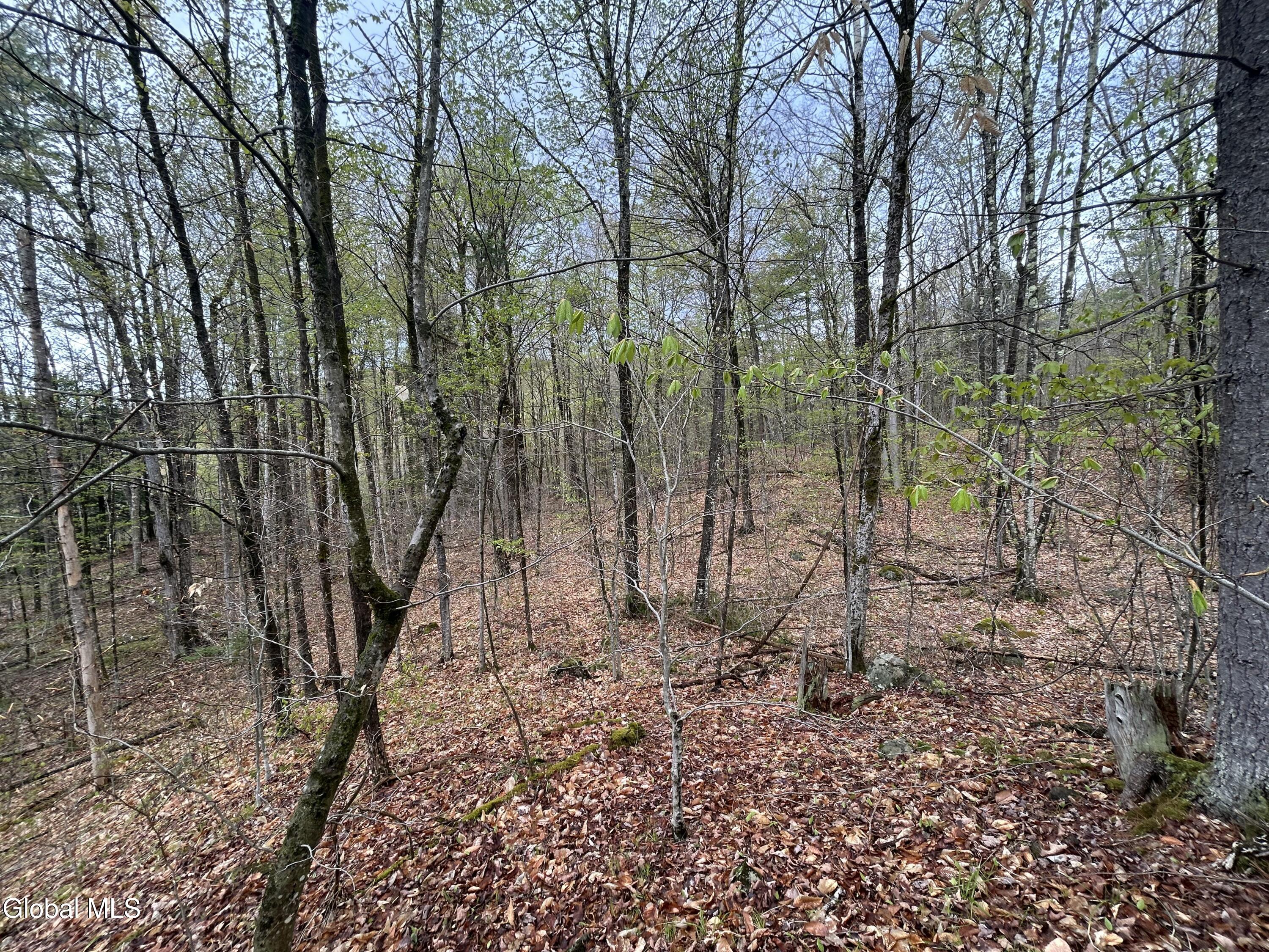 L46 Alder Brook Road Brant Lake NY 12815