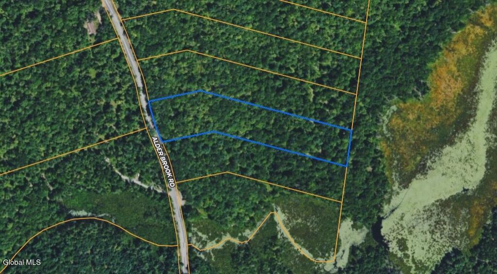 L46 Alder Brook Road Brant Lake NY 12815