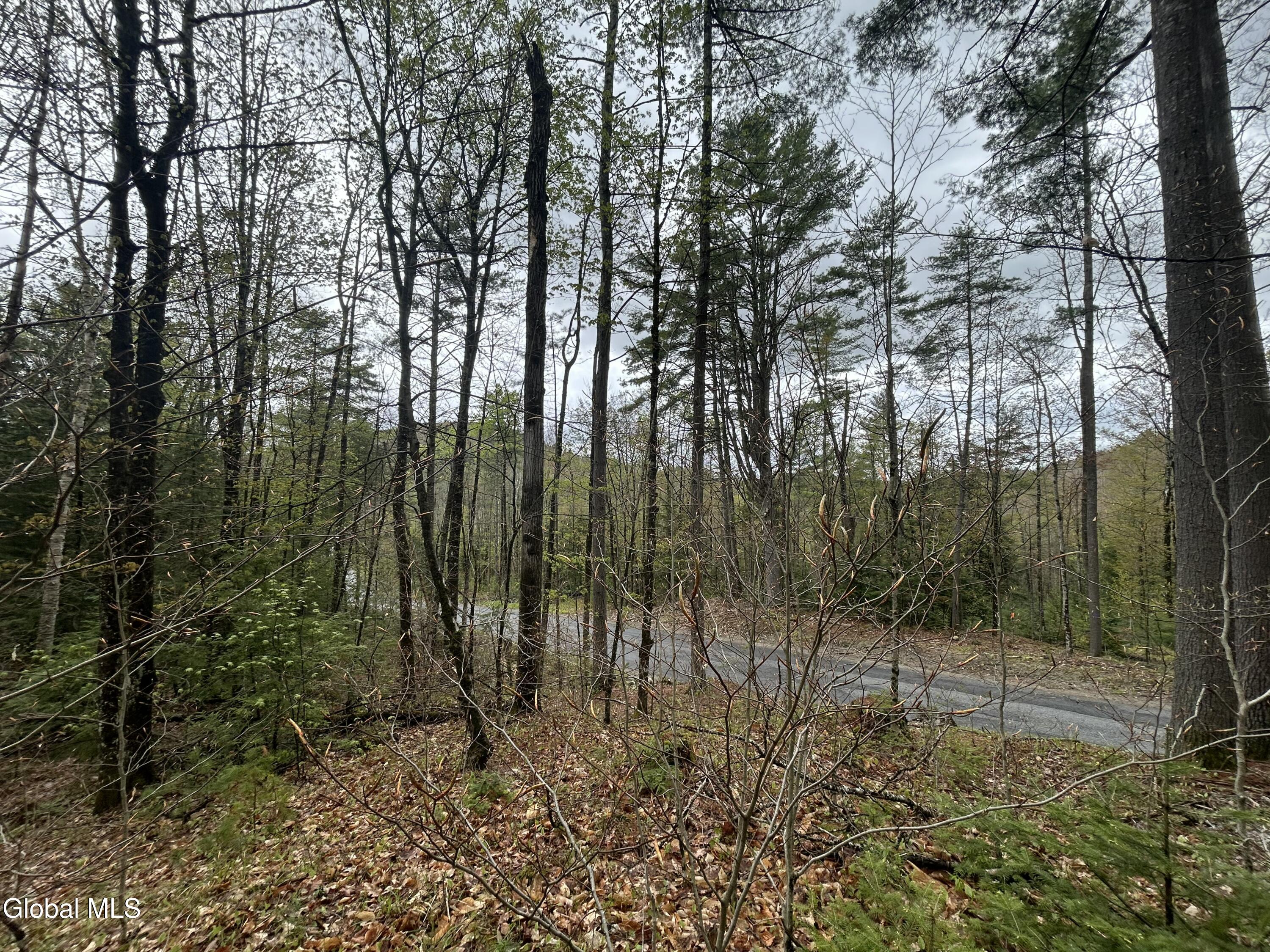 L46 Alder Brook Road Brant Lake NY 12815