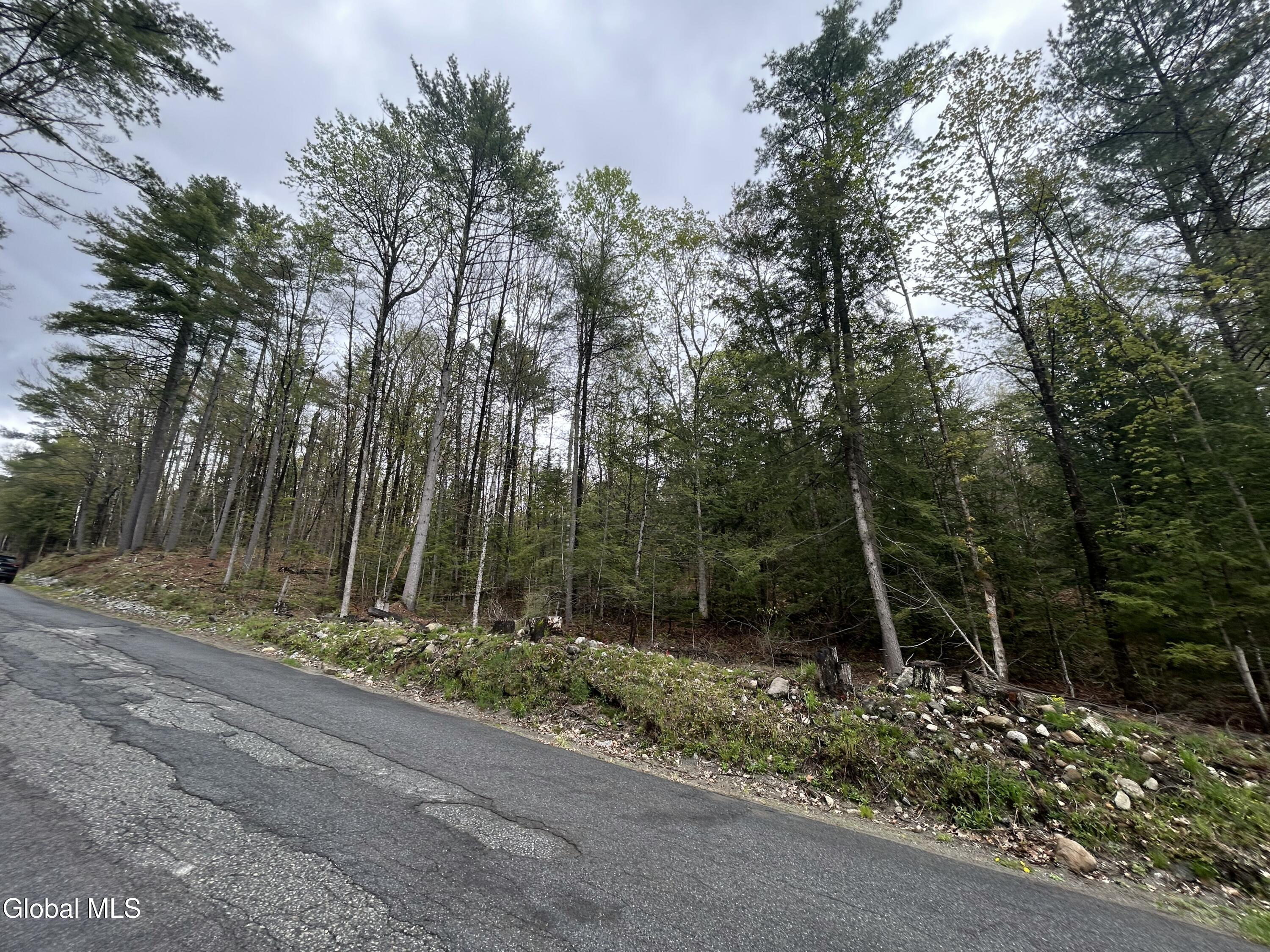 L46 Alder Brook Road Brant Lake NY 12815