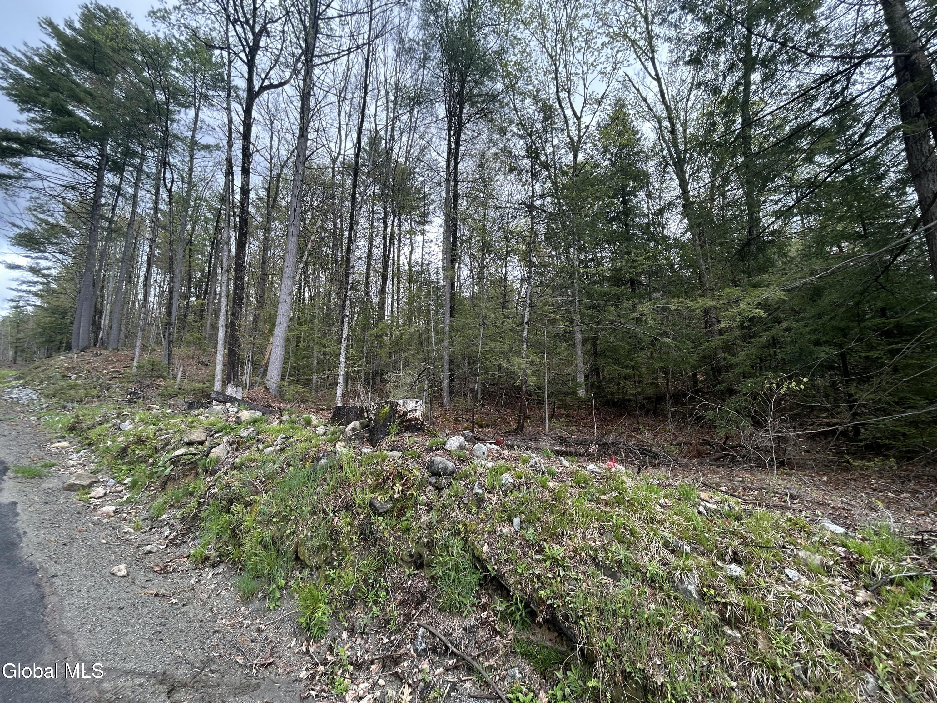 L46 Alder Brook Road Brant Lake NY 12815