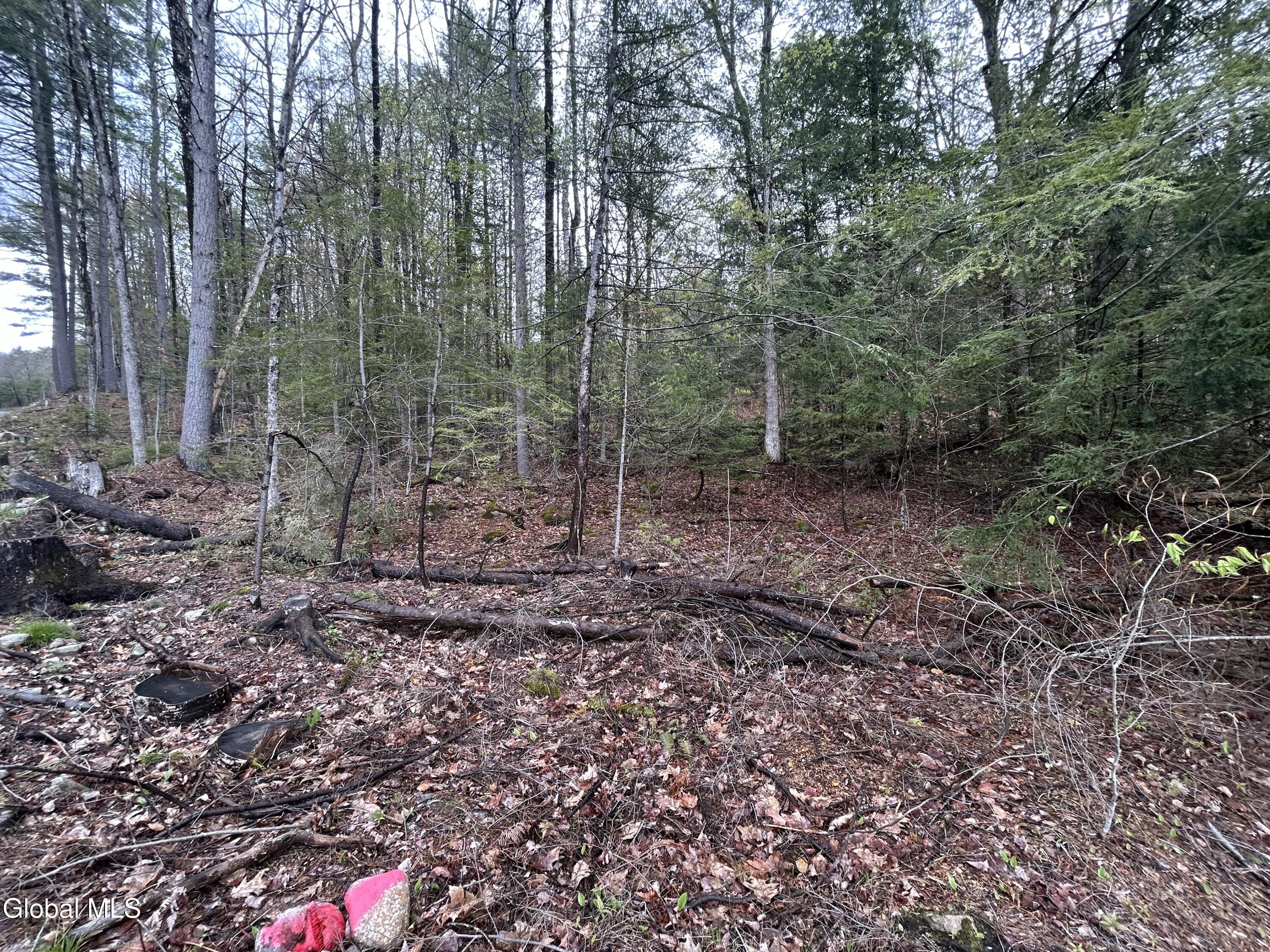 L46 Alder Brook Road Brant Lake NY 12815