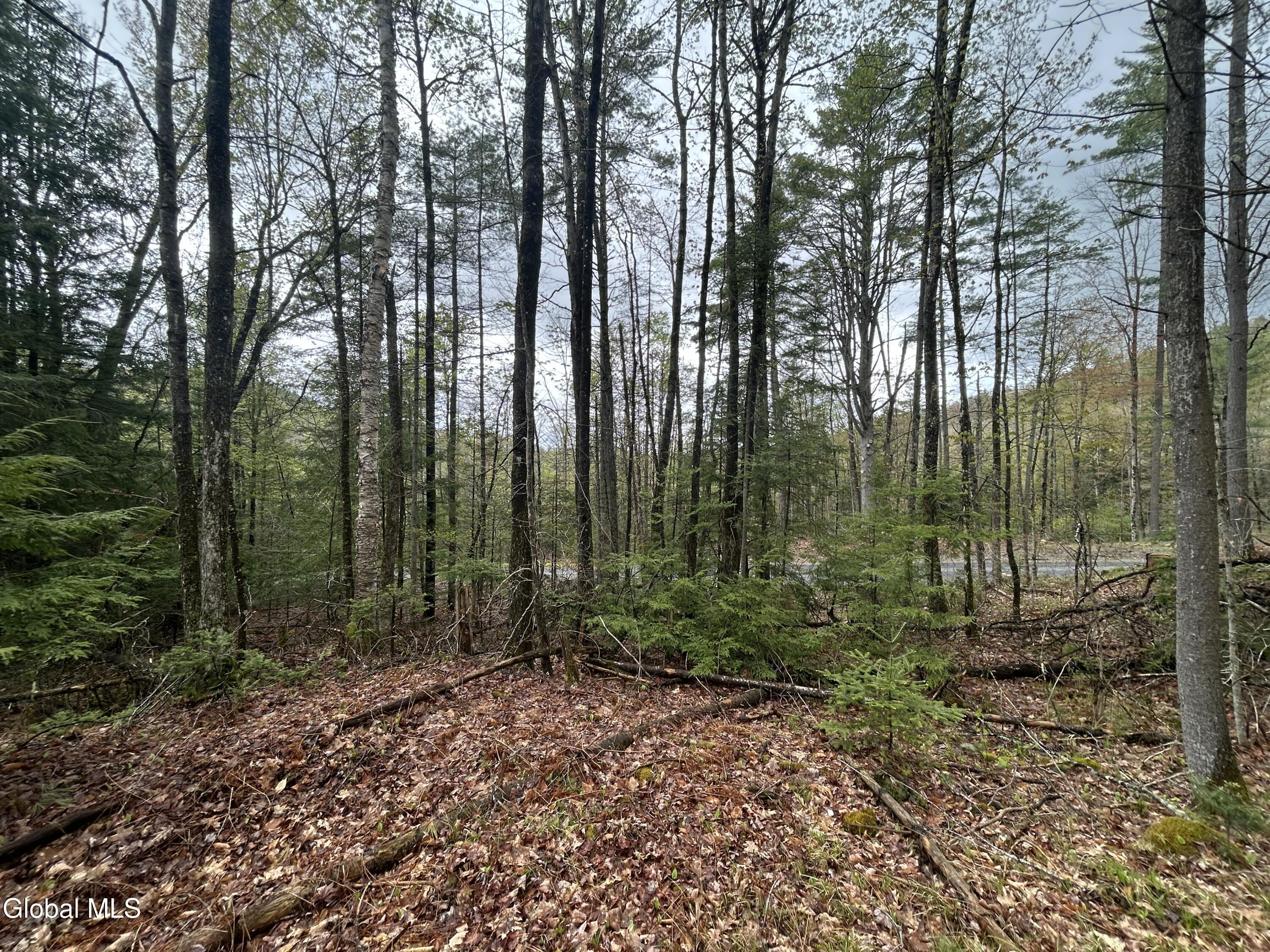 L46 Alder Brook Road Brant Lake NY 12815