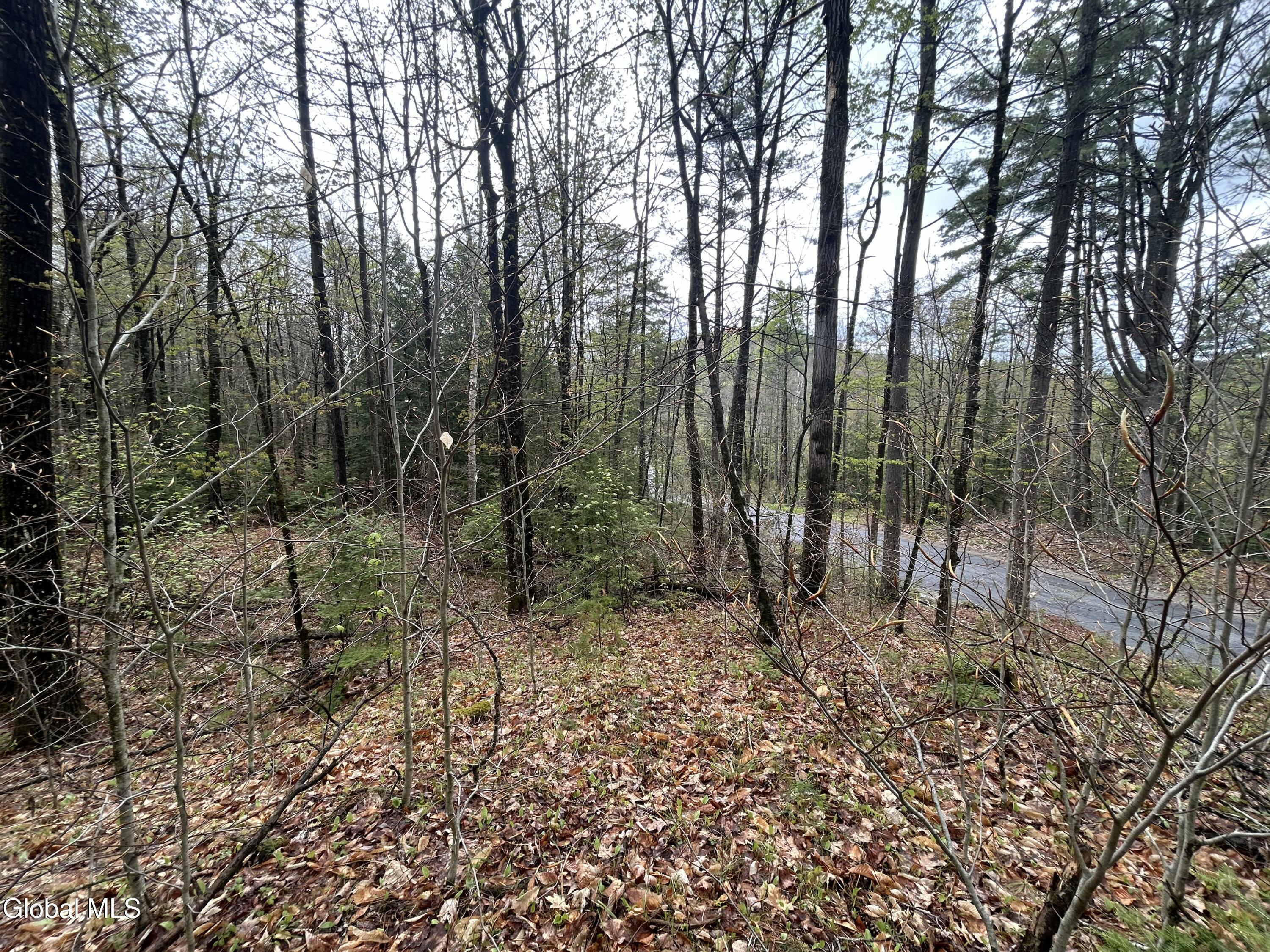 L46 Alder Brook Road Brant Lake NY 12815