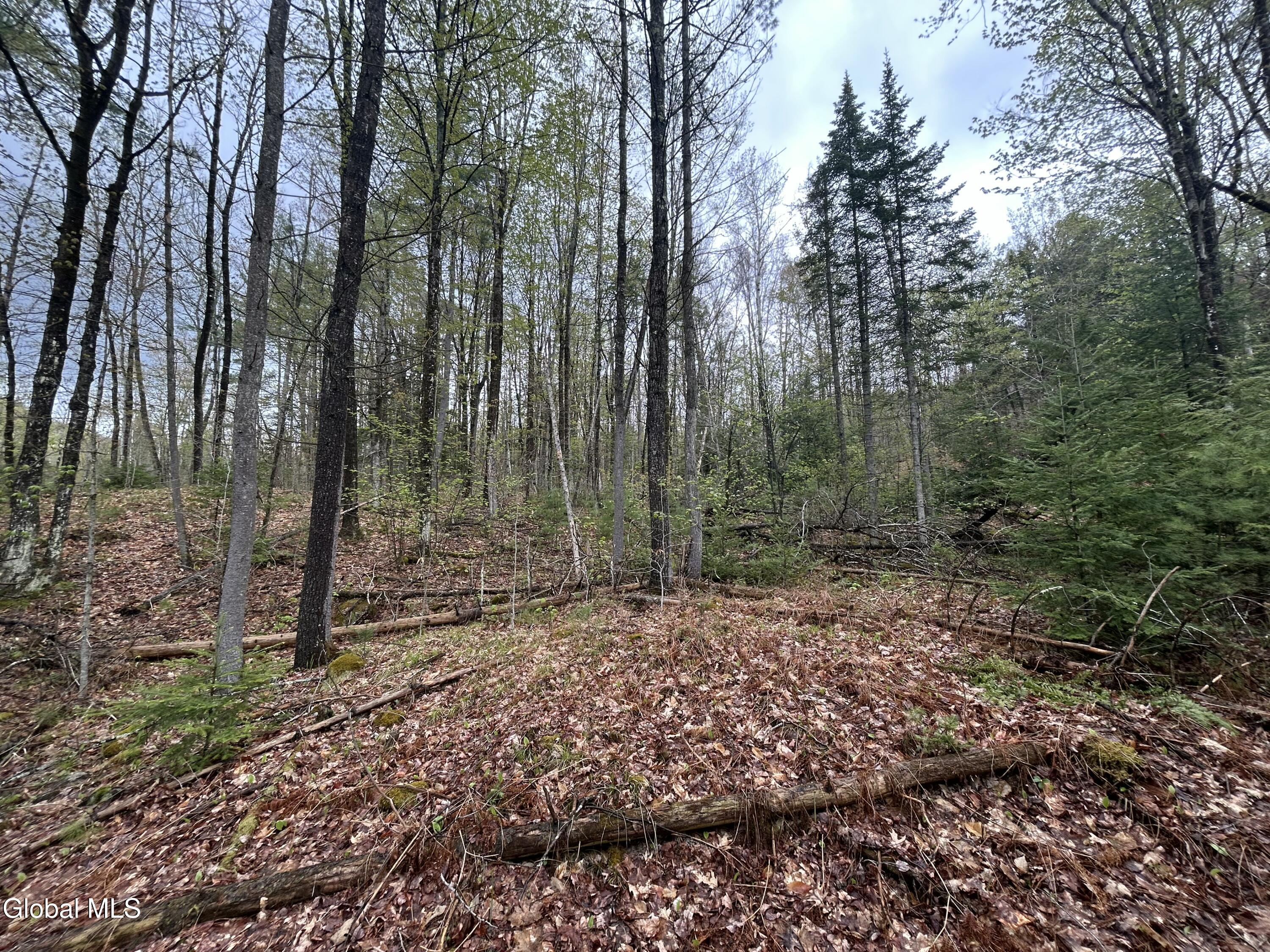 L46 Alder Brook Road Brant Lake NY 12815