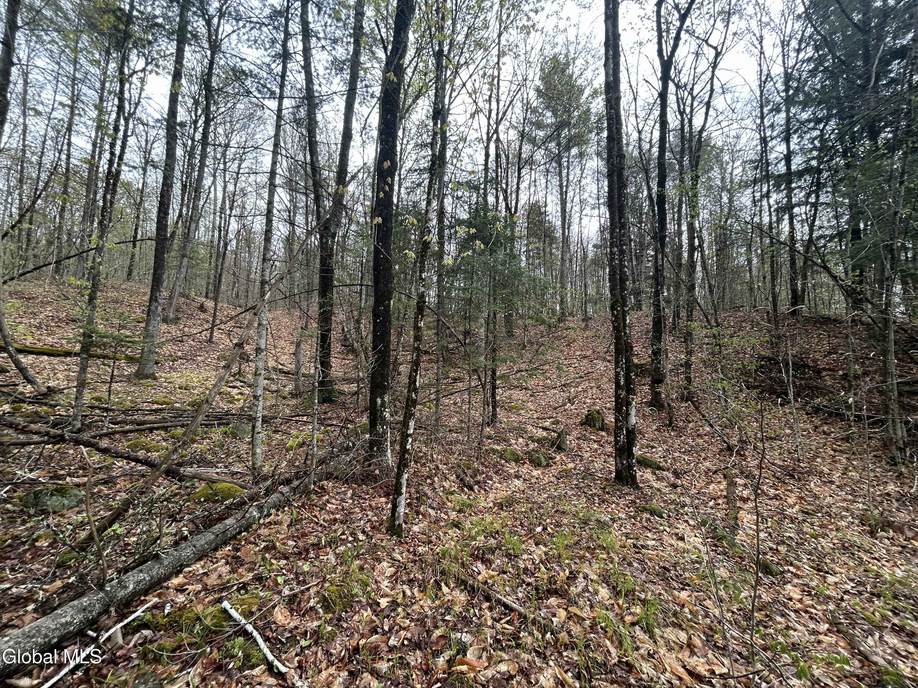 L46 Alder Brook Road Brant Lake NY 12815